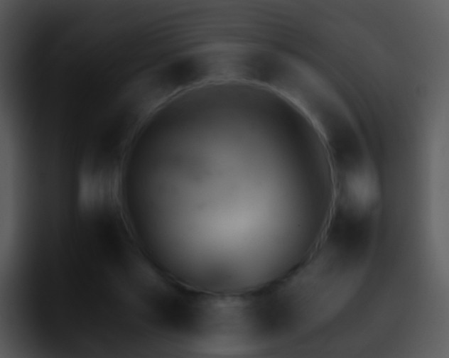 X0000095670445200801081212
