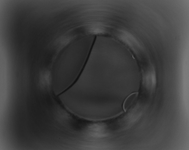 X0000095670447200801081212