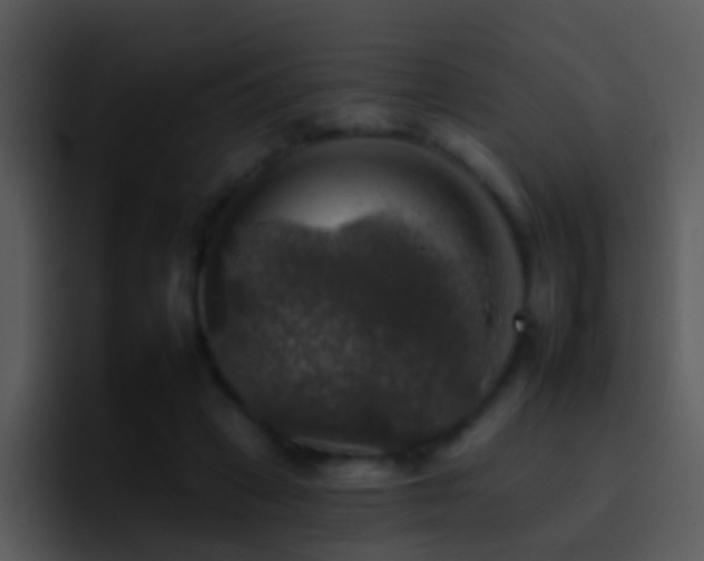 X0000095670449200801081212