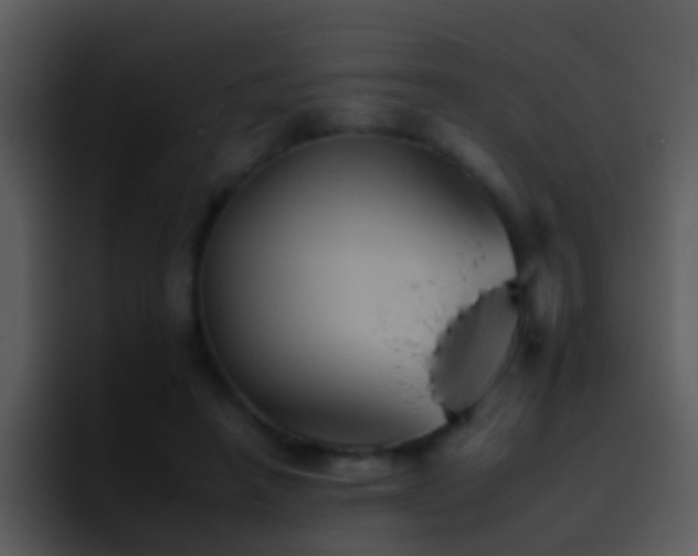 X0000095670450200801081212