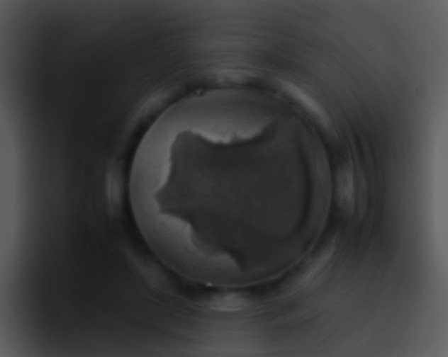 X0000095670451200801081212