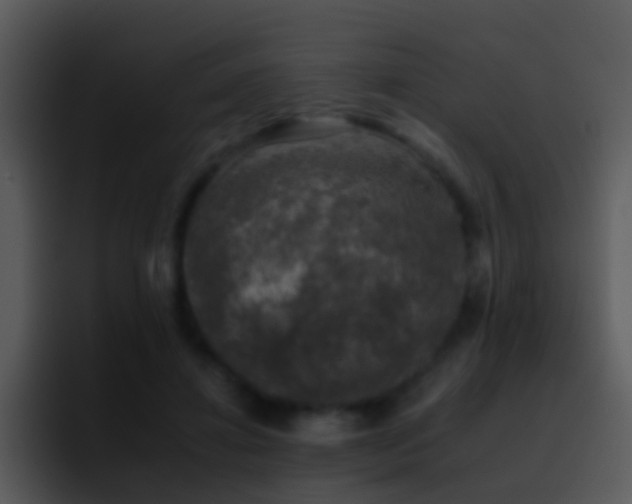 X0000095670452200801081212