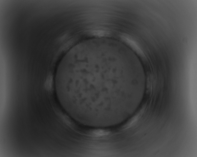 X0000095670453200801081212