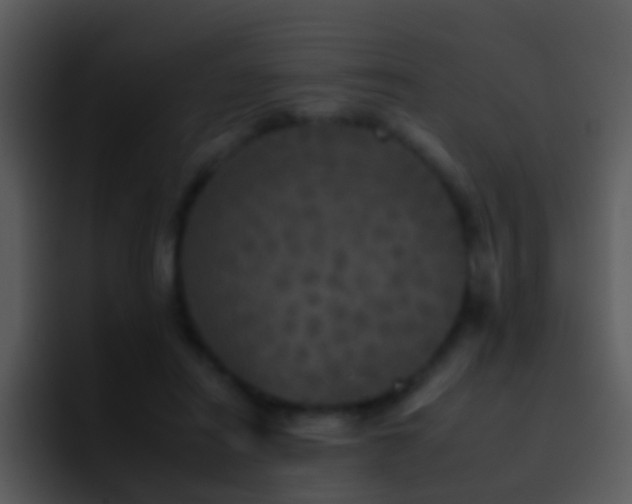 X0000095670454200801081212