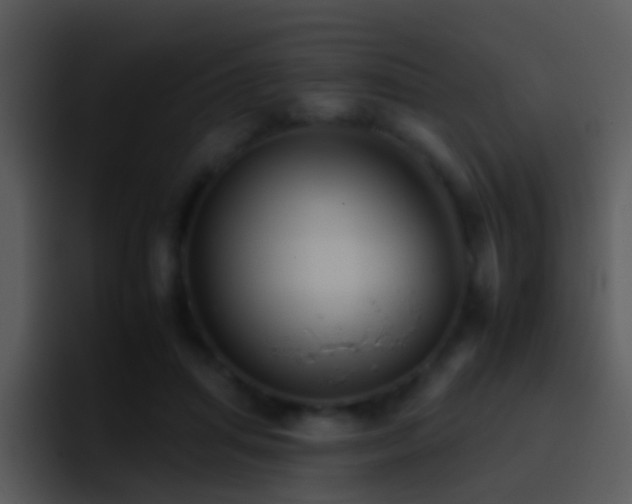X0000095670455200801081212