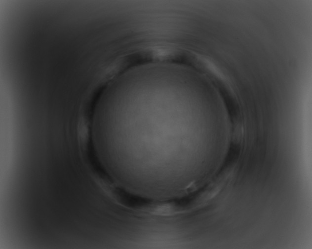 X0000095670456200801081212