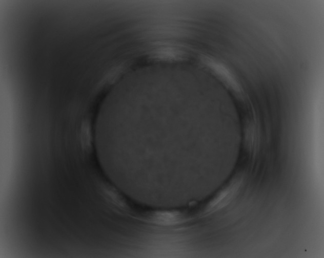 X0000095670457200801081212