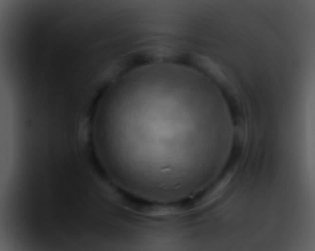 X0000095670458200801081212