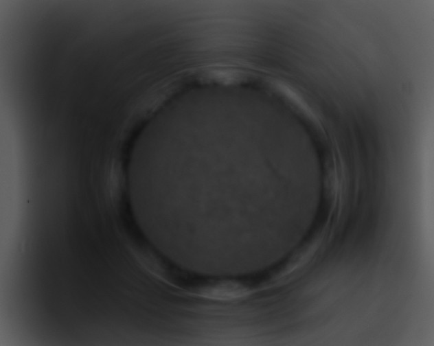 X0000095670459200801081212