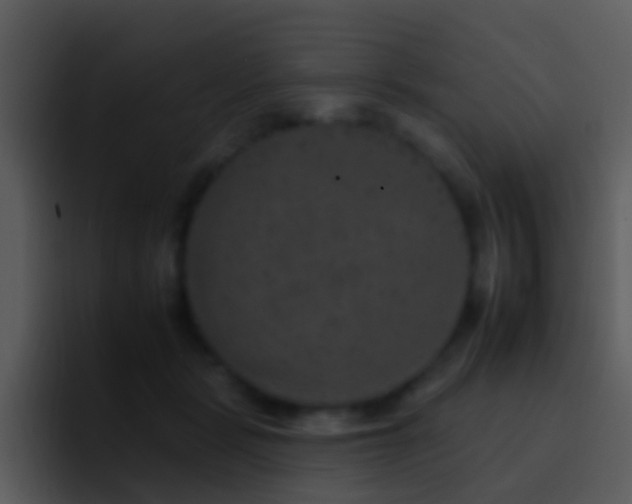X0000095670461200801081212