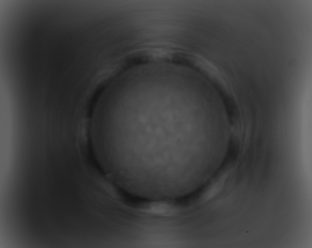 X0000095670462200801081212