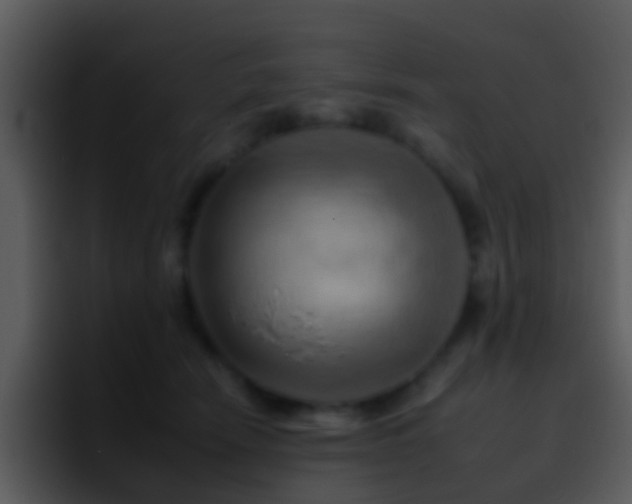 X0000095670466200801081212