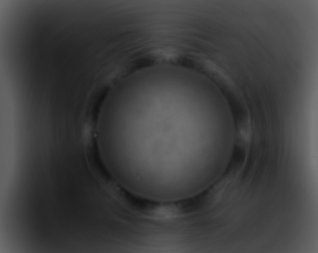 X0000095670468200801081212