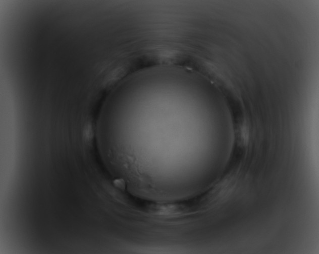 X0000095670472200801081212