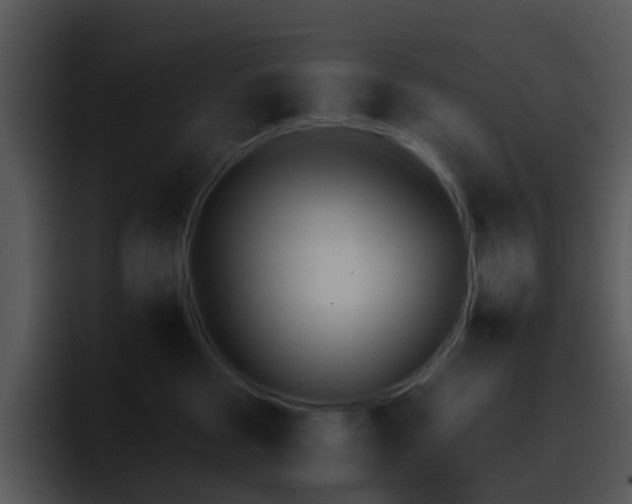 X0000095670473200801081212