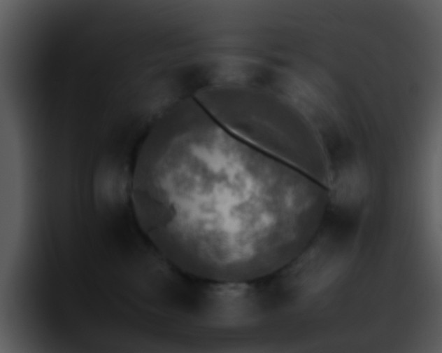 X0000095670474200801081212