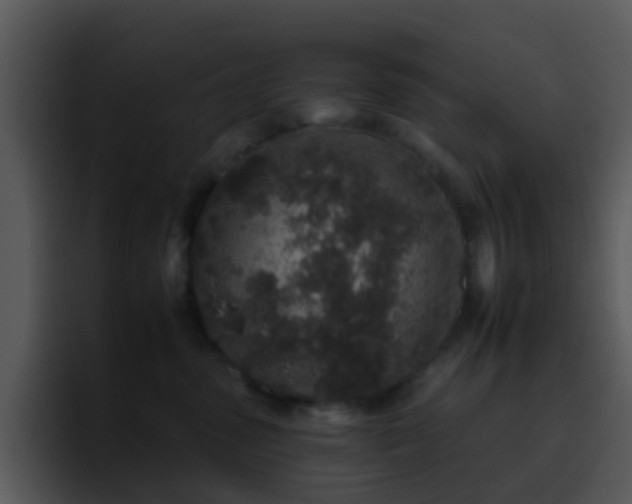 X0000095670475200801081212