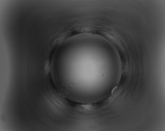 X0000095670478200801081212