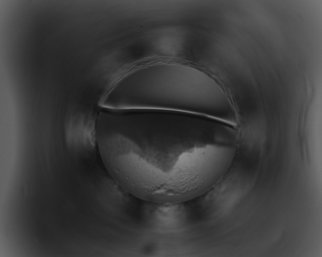 X0000095670479200801081212