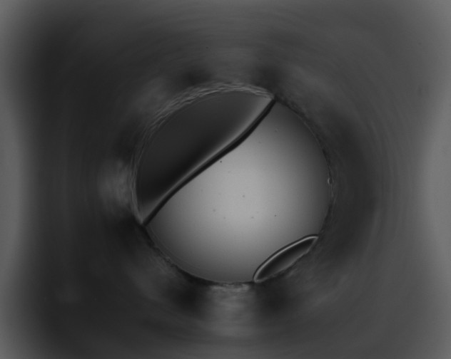 X0000095670480200801081212