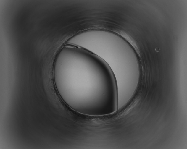 X0000095670481200801081211