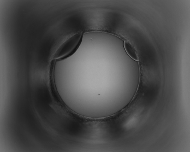 X0000095670482200801081211