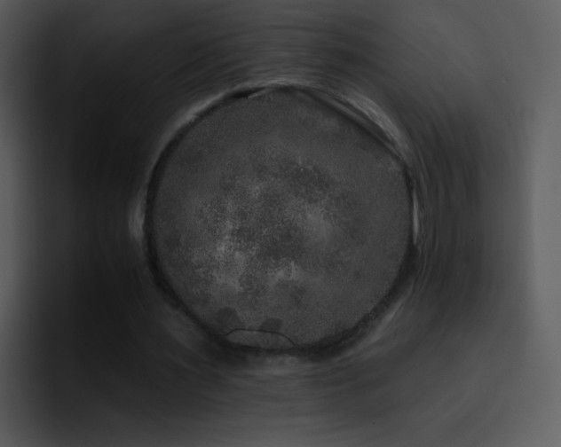 X0000095670483200801081211