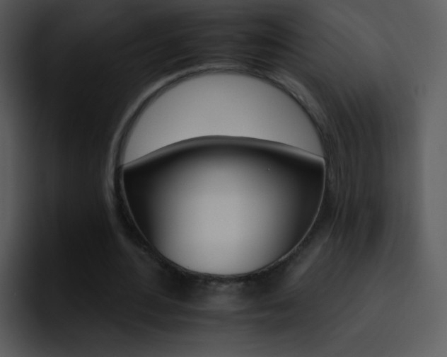 X0000095670484200801081211