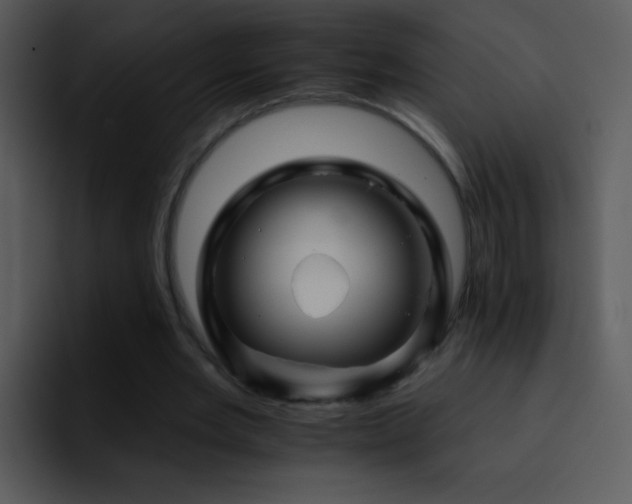X0000095670485200801081211