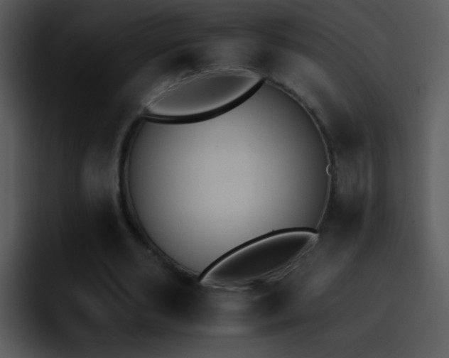 X0000095670486200801081211