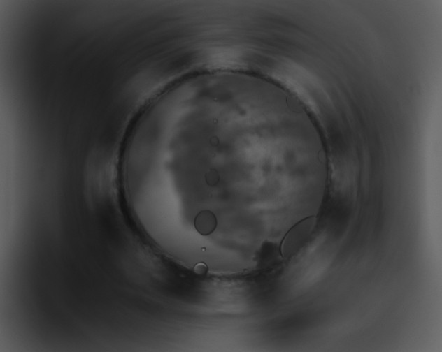 X0000095670487200801081211