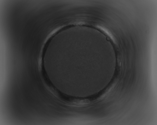X0000095670488200801081211