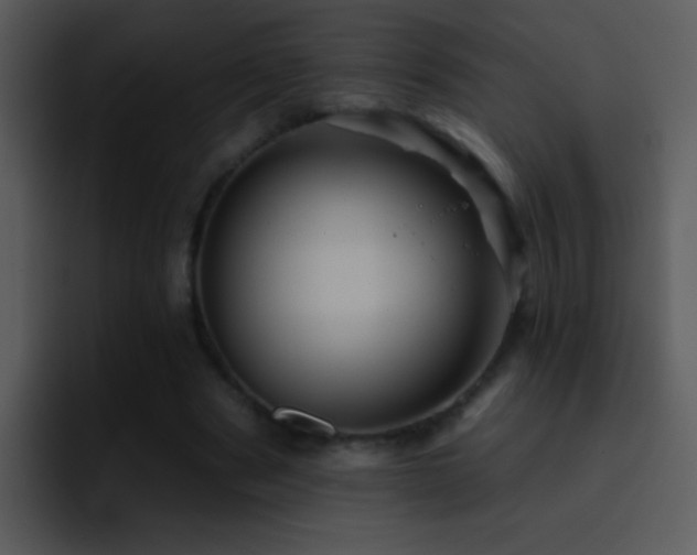 X0000095670489200801081211