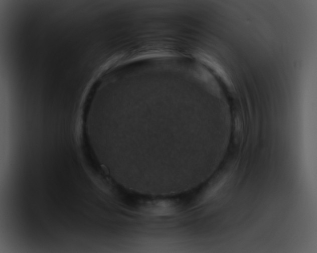 X0000095670492200801081211