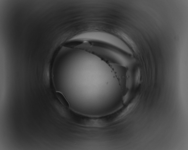 X0000095670493200801081211