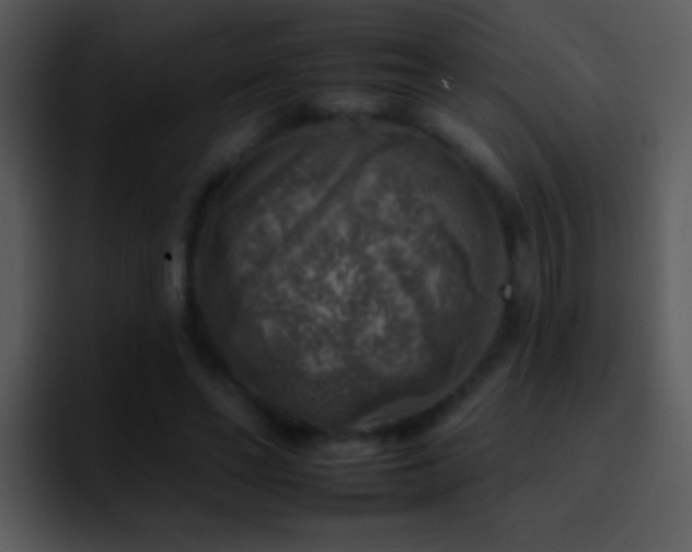 X0000095670494200801081211