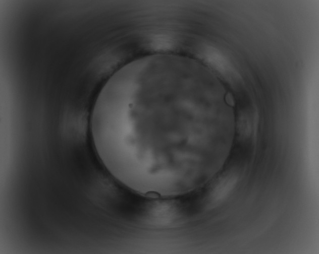 X0000095670495200801081211