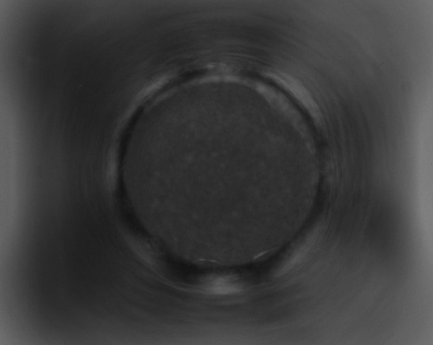 X0000095670496200801081211