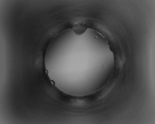 X0000095670498200801081211