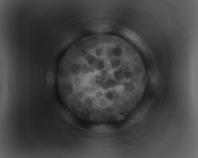 X0000095670499200801081211