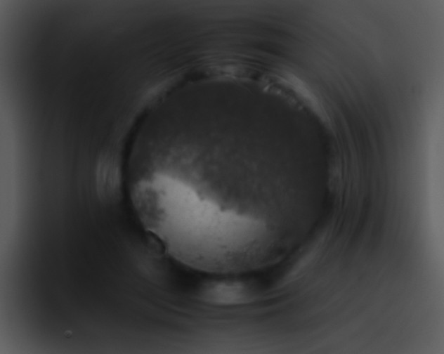 X0000095670500200801081211