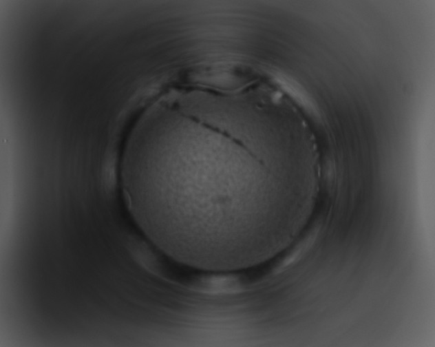 X0000095670501200801081211