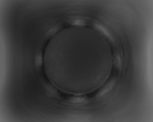 X0000095670502200801081211