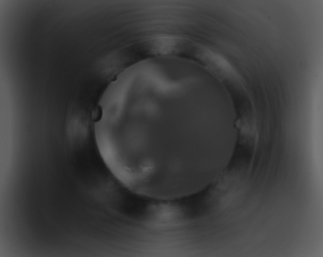 X0000095670503200801081211