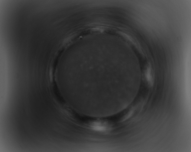 X0000095670504200801081211