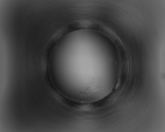 X0000095670505200801081211
