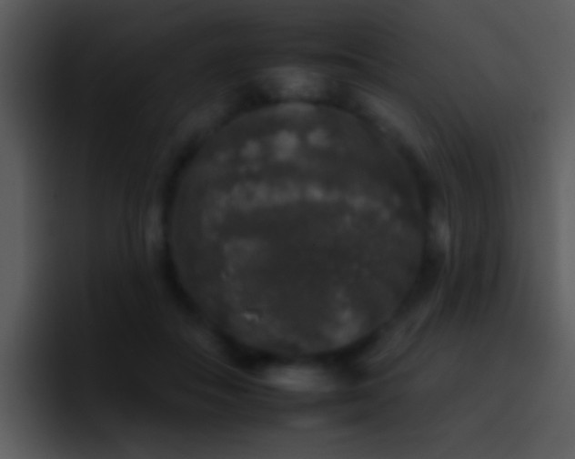 X0000095670506200801081211