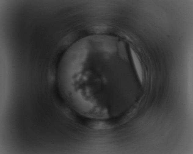 X0000095670507200801081211