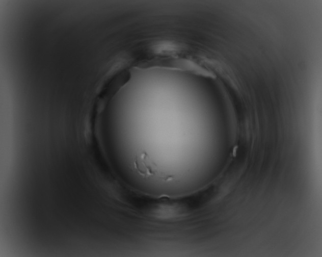 X0000095670508200801081211