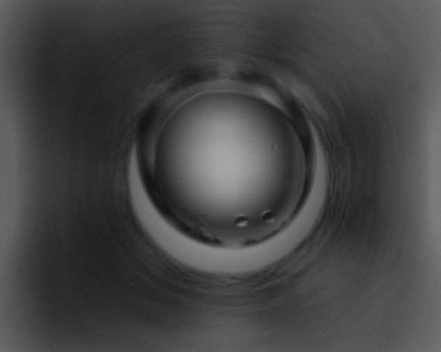 X0000095670509200801081211
